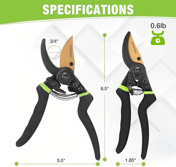 WORKPRO 8.5" Bypass Pruning Shears, Professional Garden Shears with Sharp SK5 Blade, Garden Clippers, Hand Pruner for Branches, Flowers, Fruits, Plants, Bonsai, Effortlessly Prunes 3/4" Branches