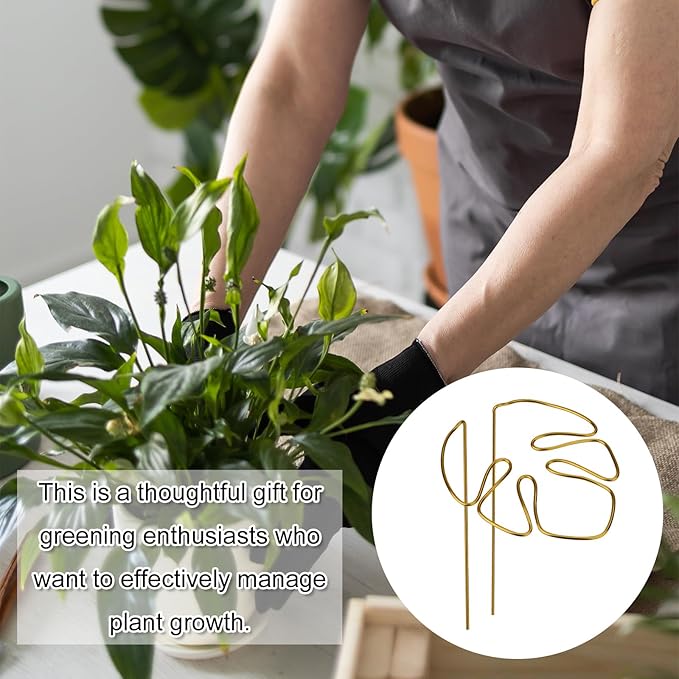 2pcs Monstera Shaped Supports for Growing Plants, Gold Climbing Houseplant Stem Supports Ring Reusable Leaf Plant Growth Accessories for Indoor & Outdoor Plants