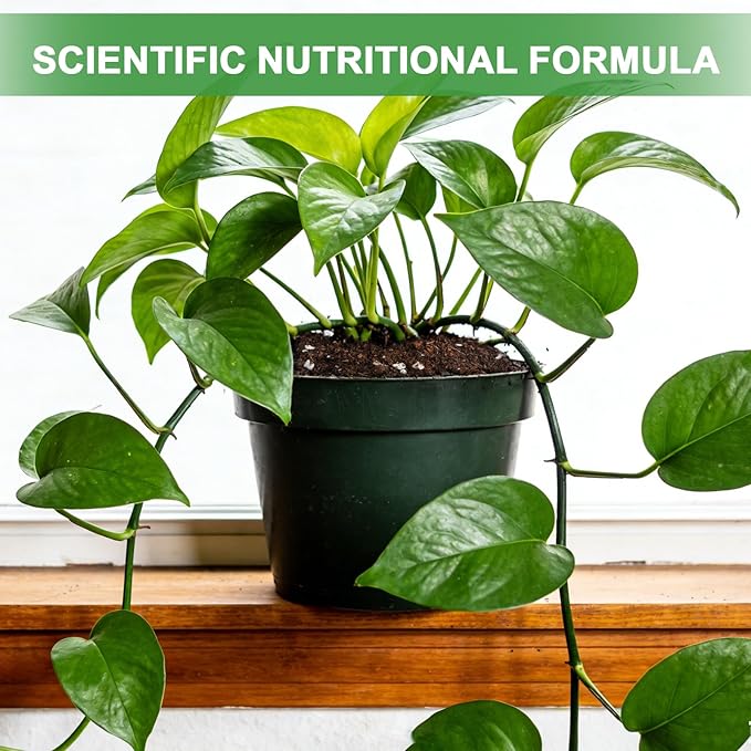 Pothos Potting Soil - Pure Natural Organic Soil 4qt, Well-Draining and Aerated for Healthy Indoor Plants