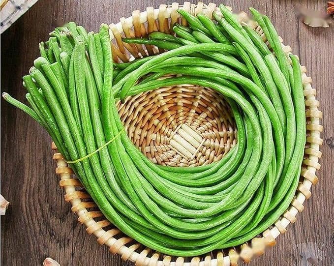 2026 Early Bird-Yardlong Pole Bean Seeds for Planting Vegetables and Fruits-Chinese Yard Long Beans豇豆.Non GMO Heirloom Seed for Home Vegetable Garden-6g(30ct+) Veggie Seeds Oriental Asparagus Bean
