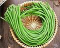 2026 Early Bird-Yardlong Pole Bean Seeds for Planting Vegetables and Fruits-Chinese Yard Long Beans豇豆.Non GMO Heirloom Seed for Home Vegetable Garden-6g(30ct+) Veggie Seeds Oriental Asparagus Bean