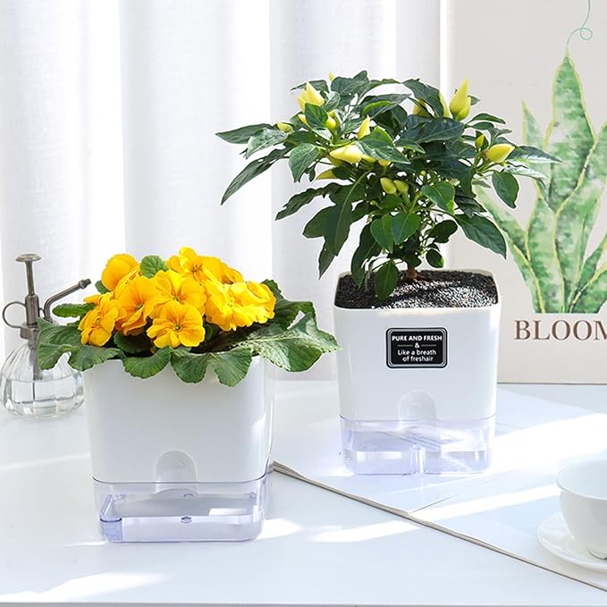 FAMZ Self Watering Planters 4 Pack，Self Watering Pots for Indoor Plants，Automatic Moisturizing，Transparent Square Flower Pot for Indoor and Outdoor Plants，Succulents，Violets，Ivy