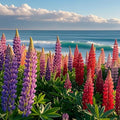 500+ PCS Russell Lupine Seeds Mix Color Wildflower Perennial Giant Lupine Seeds Colorful Plants for Planting