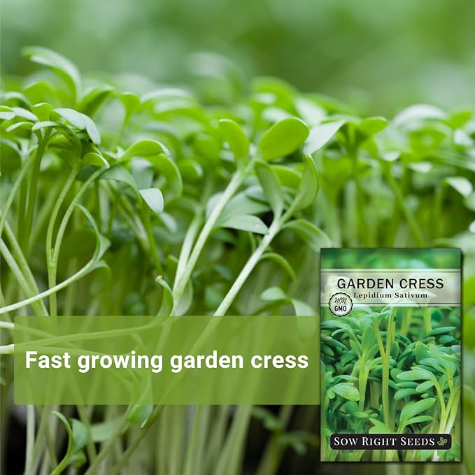 Sow Right Seeds - Garden Cress Seeds for Planting - Non-GMO Heirloom Packet with Instructions to Plant and Grow a Kitchen Herb Garden - Indoors or Outdoors - Edible Leaves and Cute Filler (4)