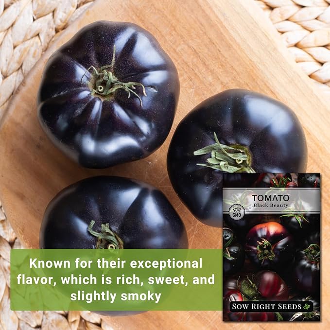 Sow Right Seeds - Black Beauty Tomato Seeds for Planting - Non-GMO Heirloom Packet with Instructions to Plant an Outdoor Home Vegetable Garden - Rare Deep Purple Slicing Variety - Sweet Flavor (2)