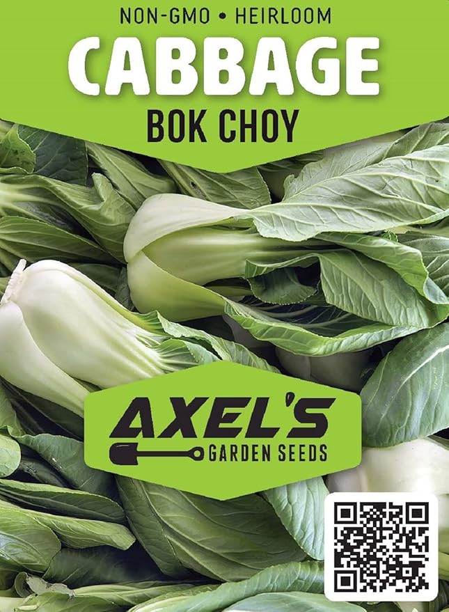 Bok Choy Cabbage Seeds for Planting – Plant & Grow Heirloom Bok Choy Cabbage in Home Outdoor Vegetable Garden, Brassica rapa subsp. chinensis– 3 Packets