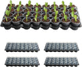 RooTrimmer 5-Pack 32 Cell Seedling Trays & 160 Pack 2" Soft Clear Nursery Pots -Thickened Durable Plant Starter Kit for Seed Germination (5 Sets)