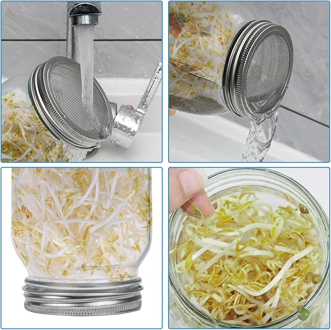 Lulonpon One Sprouting Jar Kit, Wide Mouth Quart Mason Jars with Stainless Steel Screen Sprout Lids, 86mm,1000ml,Stand,Tray and Canning Brush,Seed Sprouter Set for Growing Broccoli, Alfalfa, Mung Bean