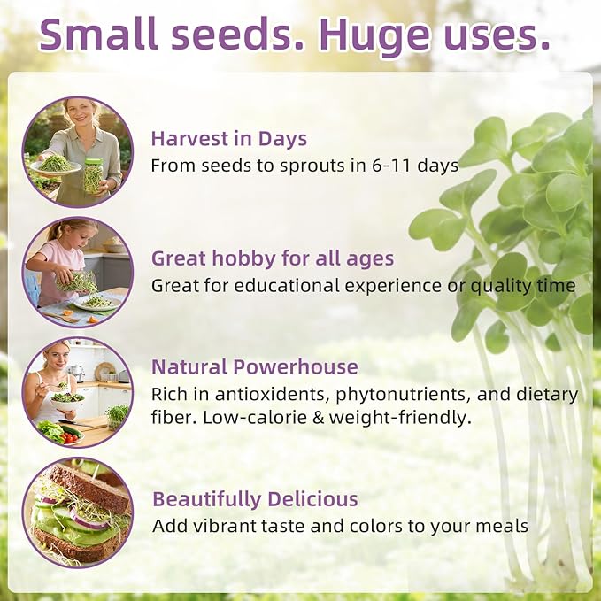 Organic Alfalfa Sprout Seeds (16 oz), Certified Non-GMO, Heirloom Seeds, Premium Alfalfa Sprouting Seeds for Sprouting and Microgreens, High Yield High Germination, Resealable Bag