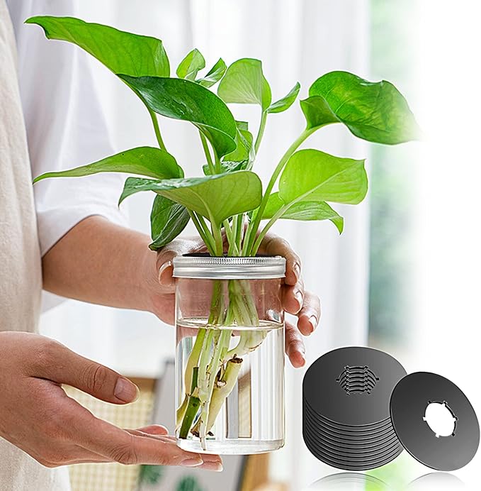 12PCS Kratky Lids Wide Mouth Hydroponic Cover Lids Kratky Mason Jar Lids Kratky Lid Insert Kratky Jar Cover Hydroponic Lids Kratky Hydroponics Supplies with Hole for Mason Jars Aerogardens Pods