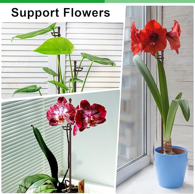 20Pcs Plant Support Stakes 17 inch SupKing Garden Orchid Sticks Extended to 3ft 4ft 5ft Plant Poles with Clips for Indoor Outdoor Potted Tomato Rose Amaryllis Vegetables Comes with 20 Ties(Brown)