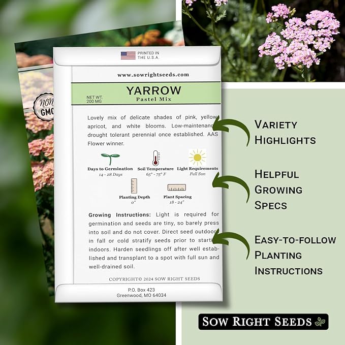 Sow Right Seeds - Pastel Mix Yarrow Seeds for Planting - Vibrant Yarrow Flowers for Attracting Pollinators - Perfect for Floral Gardens & Landscaping - Easy to Grow - Non-GMO Heirloom Herb (4)