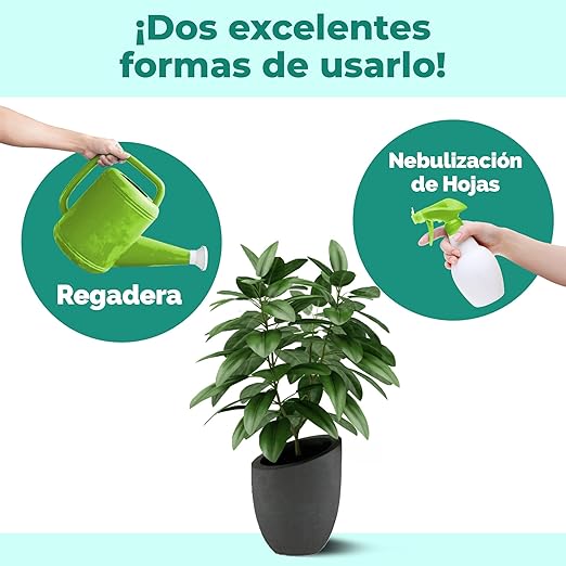 Fertilizante para Plantas de Interior, Complete Liquid Indoor Plant Food, 32 oz (1 Quart)
