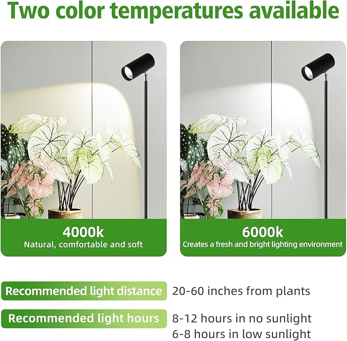 30W Full Spectrum Grow Light, 5000LM High-CRI COB LED Floor Lamp with 6/8/12H Timer, Adjustable Height (28"-83") & Angle, Grow Lights for Indoor Plants, Succulents & Flowers (daylight 6000K)