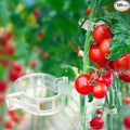 120 Pack Tomato Clips for Climbing Plants - Plant Support Clips, Garden Clips & Tomato Trellis Accessories | Plastic Plant Clips for Vertical Gardening, Cucumbers, Orchids, Vegetables