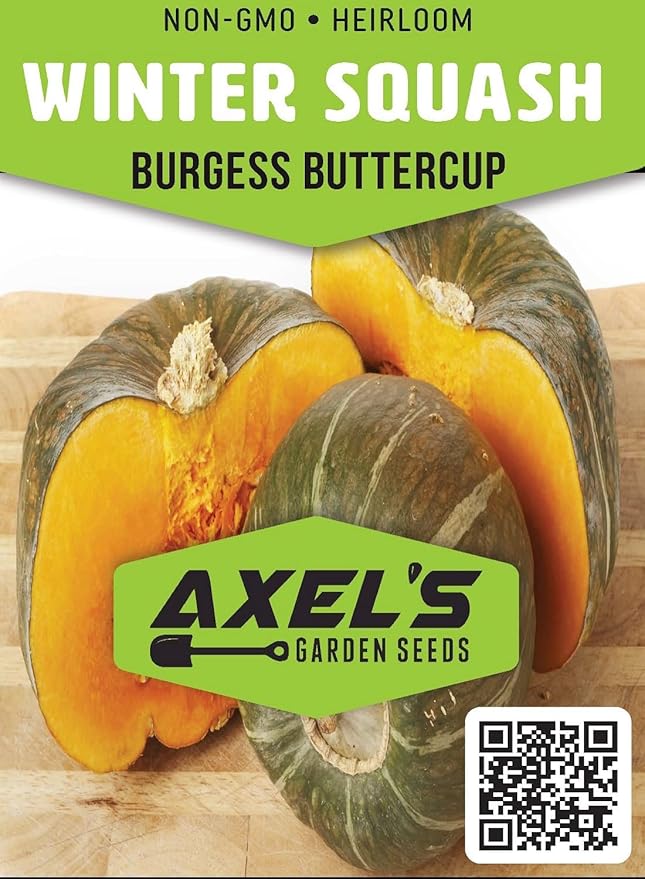Winter Squash Seeds for Planting – Plant & Grow Burgess Buttercup Squash – Instructions to Plant Non GMO Heirloom Home Outdoor Vegetable Garden – Great Gardening Gift, 5 Packets