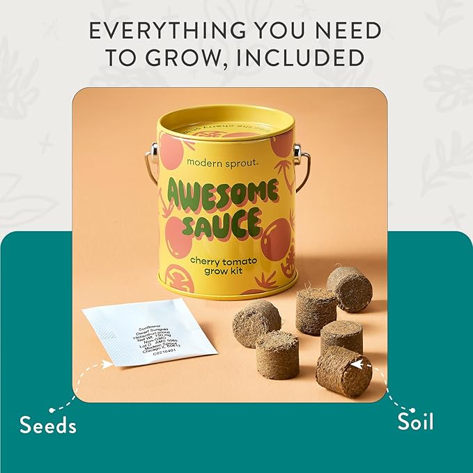 Modern Sprout Complimentary Color Grow Kits (Pack of 4) - Seed Starter Kit - Includes Organic Strawberry Tomato Sunflower & Cactus Seeds - Easter Basket Essentials - Gardening Gifts That Grows w/Love