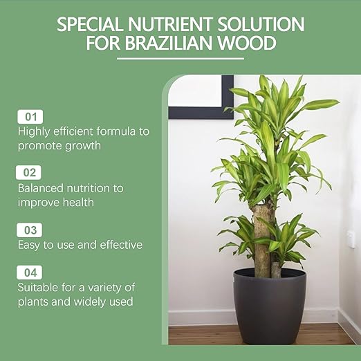 MoonSpry Brazilian lucky wood plant food, lucky bamboo liquid fertilizer,brazilian wood indoor houseplant fertilizer,bamboo indoor plant food,Fertilizantes de brasileña y árbol de la suerte,3pcs*100ml