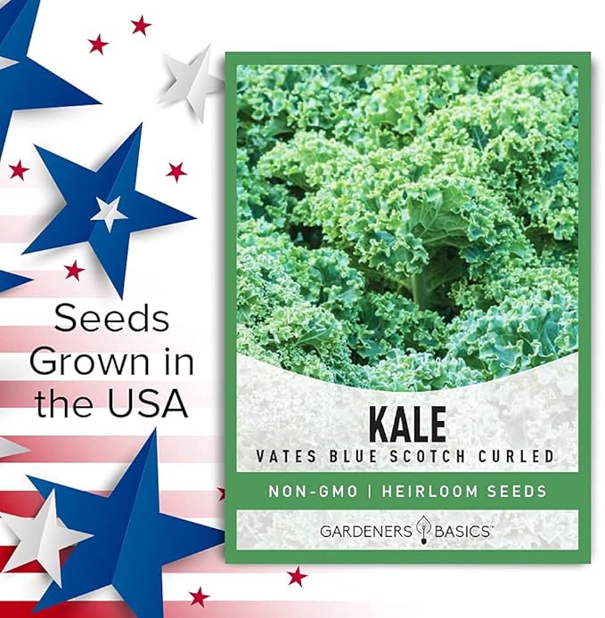Gardeners Basics, Kale Seeds for Planting, Heirloom, Non-GMO Vegetable Variety - Great for Indoor, Outdoor, and Hydroponics Gardening (Vates Blue Scotch Curled)