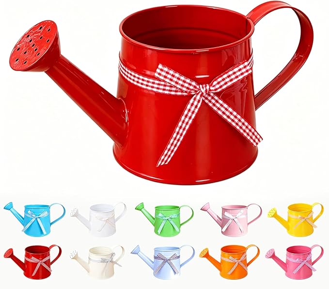 White Metal Watering Can 1 Gallon, Small Galvanized Steel Watering Can with Sprinkler Head for Indoor and Outdoor Plants, Vintage Decorative Gardening Tool (Red)