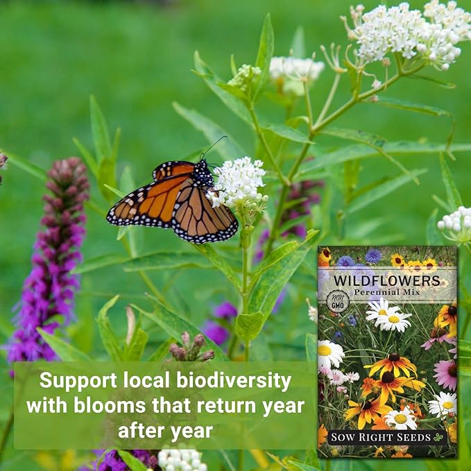Sow Right Seeds - Perennial Wildflowers Seeds Mix for Planting - Non-GMO Heirloom Packet with Instructions to Plant & Grow a Wild Flower Garden - Colorful Blooms That Will Return Year After Year (1)