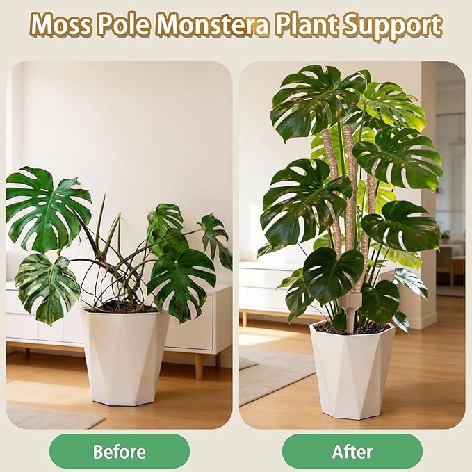 3 Moss Poles in 1, Bendable Monstera Plant Support, 29.9IN Tall Plant Stakes for Indoor Plants, Coir Pole Plant Support for Climbing Plants, Pothos, Philodendron-1 Pack
