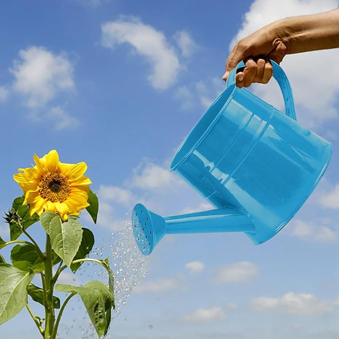 Tinplate Watering Kettle, 1L Metal Garden Watering Can, Vintage Sprinkling Can for Flowers, Indoor & Outdoor Plants, Lawn & Garden Irrigation Tool (Blue)