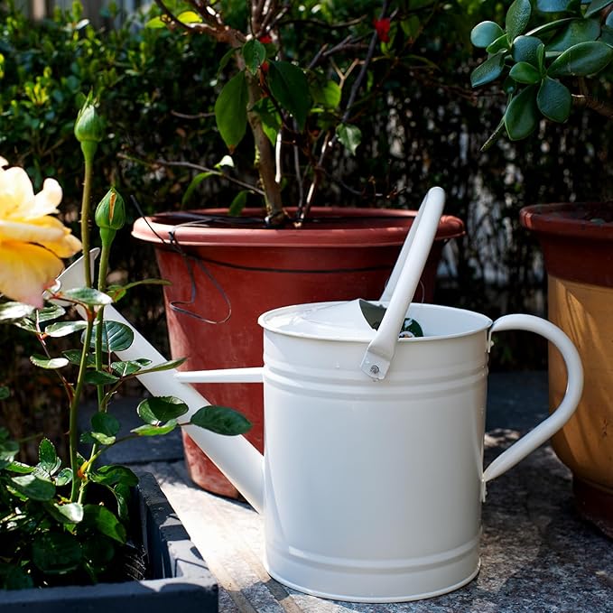 1 Gallon Watering Can, Matte Cream, Metal Watering Can with Removable Spout, Galvanized Water can, Perfect Plant Water Can for Outddor and Indoor Use