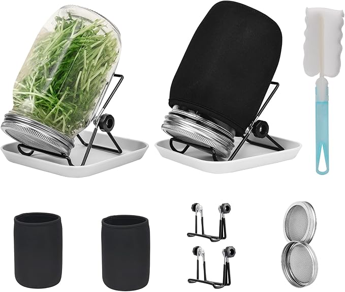 Lulonpon Sprouting Kit, 2 Sprouting Jar Kits, Wide Mouth Quart Mason Jars with Stainless Steel Screen Sprout Lids,1000ml, Stand and Canning Brush,Seed Sprouter Set for Growing Broccoli, Alfalfa