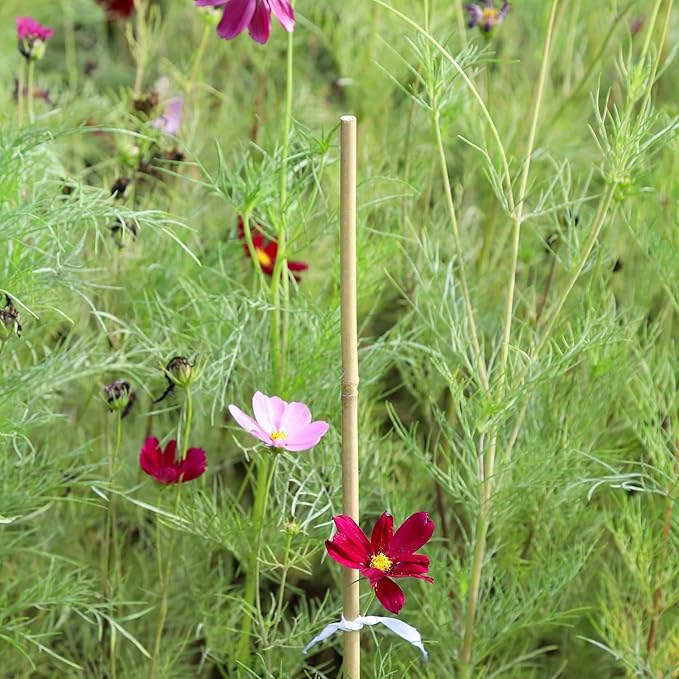 Natural Bamboo Plant Stakes (3ft-50pcs)
