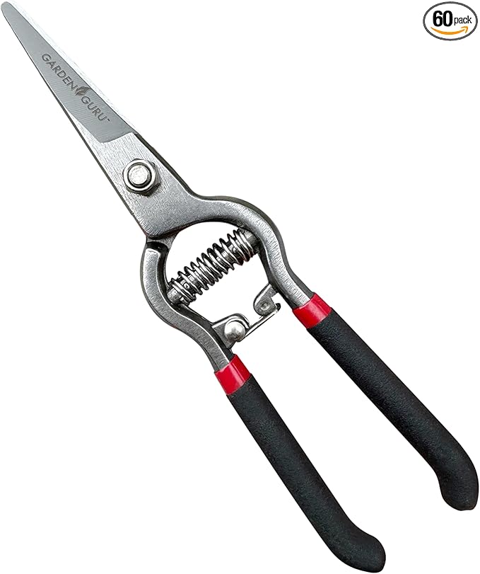Garden Guru Classic Bypass Pruning Shears Clippers – Heavy Duty Forged Steel Pruners – Non Slip Comfort Grips – Cuts up to 1” Diameter – Professional Straight Pruners for Gardening - 1 Case (60 Pcs)