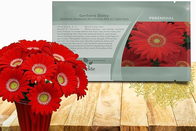 Outsidepride Red Gerbera Seeds - 20 Pcs Perennial, Compact & Low Maintenance, Flower Seeds for Planting w/Mounding Foliage & Vibrant Red Blooms, Ideal for Garden Landscaping & Cut Flower Arrangements