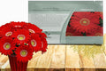 Outsidepride Red Gerbera Seeds - 20 Pcs Perennial, Compact & Low Maintenance, Flower Seeds for Planting w/Mounding Foliage & Vibrant Red Blooms, Ideal for Garden Landscaping & Cut Flower Arrangements