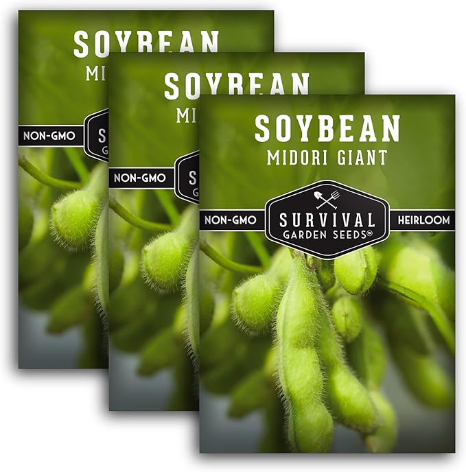 Midori Giant Soybean Seeds for Planting - Grow Protein-Rich Edamame Pods in Your Home Vegetable Garden - Non-GMO Heirloom Soy Bean - Survival Garden Seeds (3 Packs)
