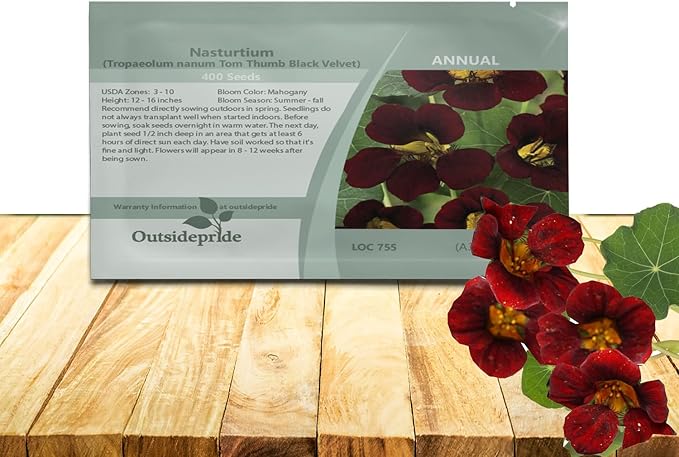 Outsidepride Tom Thumb Black Velvet Nasturtium Seeds - 400 Pcs Annual, Easy to Grow & Versatile, Flower Seeds for Planting Vibrant Blooms, Ideal for Gardens, Borders, and Pollinator Gardens