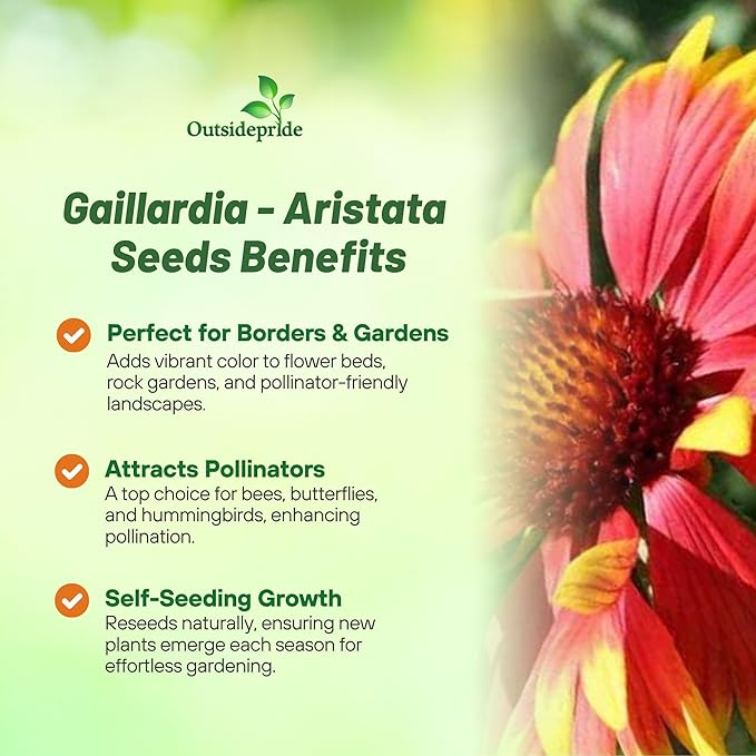 Outsidepride Gaillardia Aristata Red Blanket Flower Seeds for Planting - 1000 Pcs Perennial Wildflower Seeds, Drought-Tolerant for Xeriscaping, Borders, Pollinator Gardens, or Wildflower Mixes