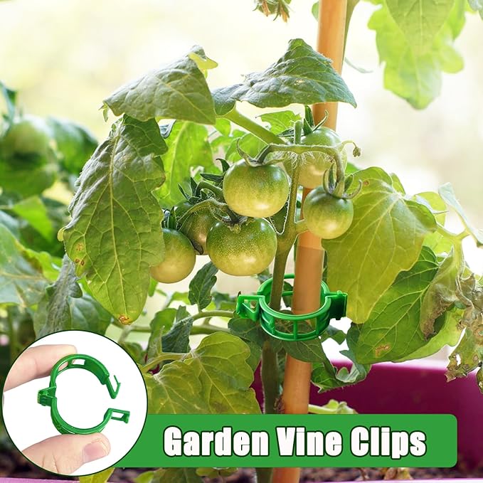 400 Pcs Plastic Trellis Plant Support Clips,Vine Vegetable Fixing Clips,Grape Tomato Plant Support,Garden Vine Clips for Healthier Vegetable Growth (Green)