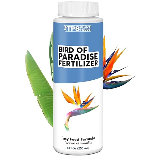 Bird of Paradise Fertilizer for All Strelitzia Plants, Liquid Plant Food 8 oz (250mL)