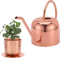 Indoor Watering Can and Planter with Plate.