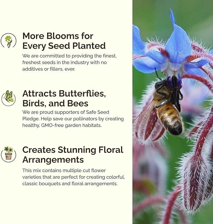 Eden Brothers Bee Happy Organic Wildflower Mixed Seeds for Planting, 1 lb, 480,000+ Seeds with Cosmos, Crimson Clover | Attracts Pollinators, Plant in Spring or Fall, Zones 3, 4, 5, 6, 7, 8, 9, 10