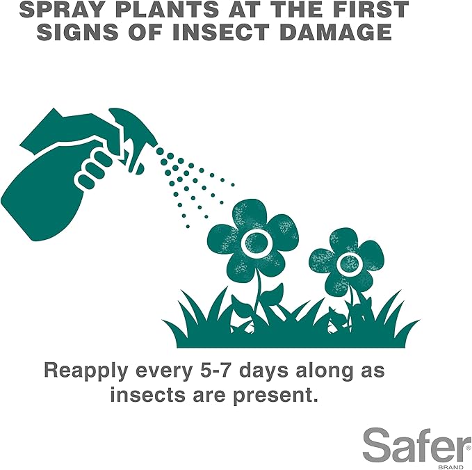Safer 5118-6 Insect Killing Soap Concentrate - Insecticidal Soap for Plants - Kills Aphids, Whiteflies, Thrips, Spider Mites, and More - OMRI Listed for Organic Use