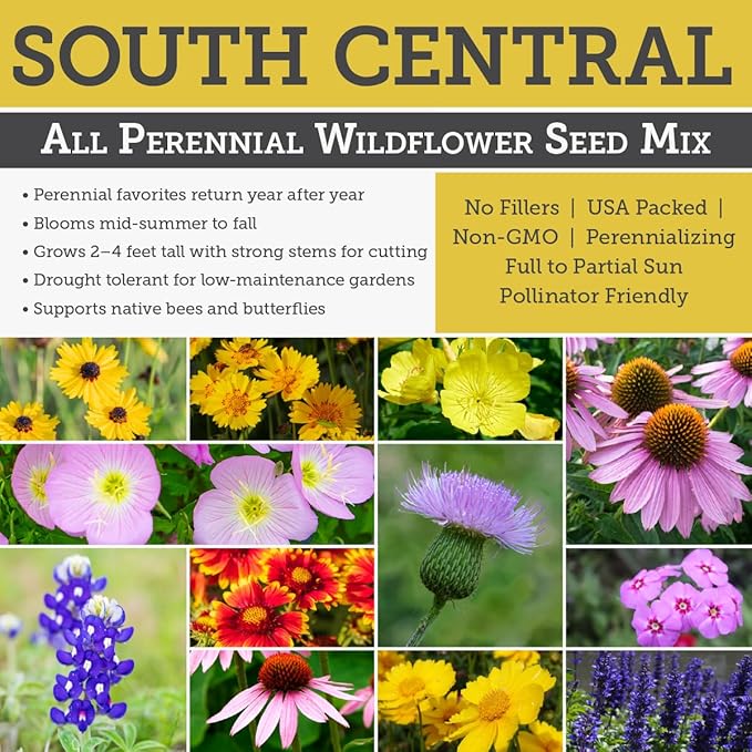 Willard & May South Central All Perennial Wildflower Seed Mix, 125,000+ Flower Seeds, 18 Varieties, Heat and Drought Tolerant, Pollinator Friendly, Plant in Spring or Fall (1/4 Pound)