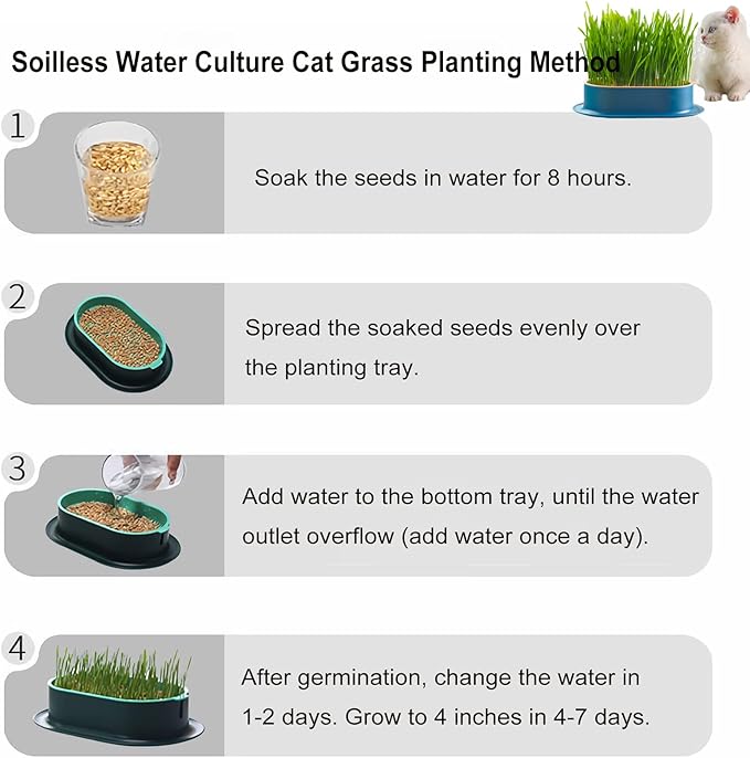 Cat Grass Planter for Indoor Cats (No Seeds Included) Hydroponic Pet Grass Seeds Growing Trays Soilless Wheatgrass Planting Pot