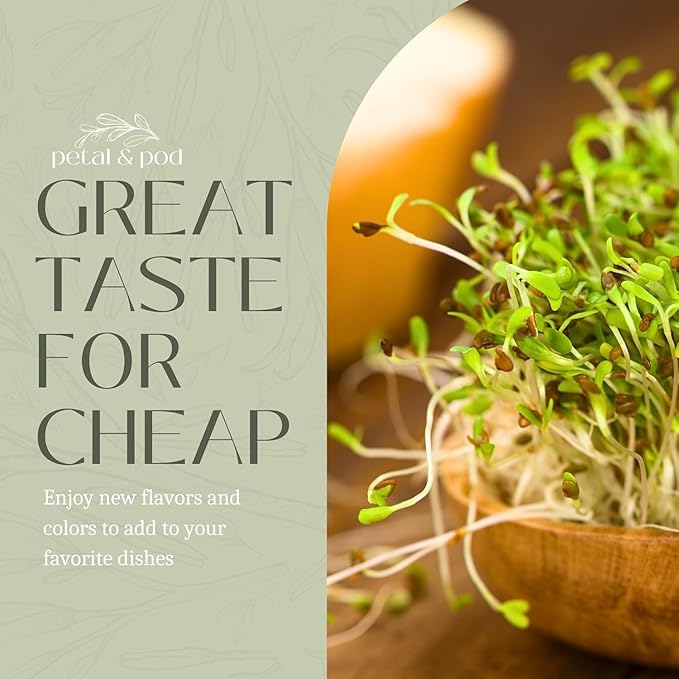 Petal & Pod Microgreens & Sprouting Seeds (12oz) - Radish - Seeds for MicroGreens Growing Kit and Sprouting Jars