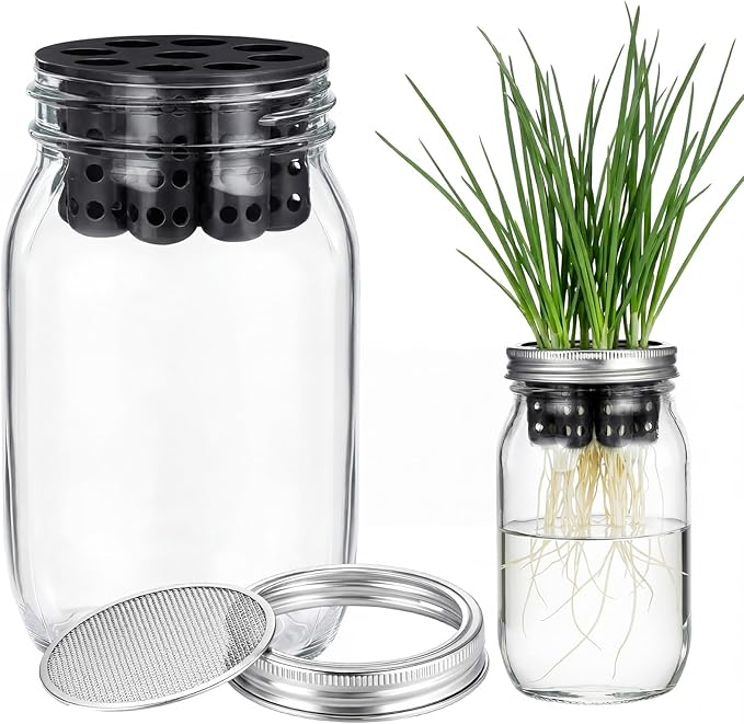 Seed Sprouting Set Green Onion Regrower Kit Includes Regrower Sprouting Lids and a Mouth Mason Jar for Sustainable Windowsill Gardens and Hydroponics for Growing Broccoli and Beans (Black)