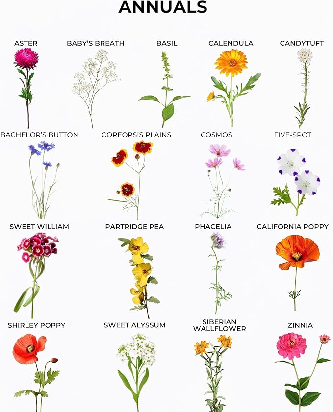 Tactiko Garden 26 Wildflower Seeds Mix, 120,000+ 4 oz Save The Bees Wildflower Garden Seeds, Annual & Perennial Pollinator Seeds to Attract Bees, Butterflies & Hummingbirds, Up to 600 sq ft Coverage