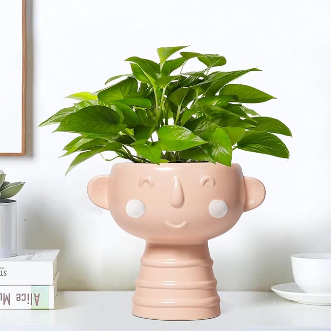 Face Planter Pots Head 7 Inch - Ceramic Face Pot for Plants Indoor Outdoor, Cute Decorative Plant Pots with Drainage Hole, Succulent Planters, Living Room Decor, Valentine Gifts, Matte Pink