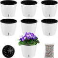 Planterhoma 6.7 Inch Self Watering Pots for Indoor Plants, 6 Packs African Violet Pots with Indicator, Black Wick Pot with Drainage Holes, Self Watering Planters for Orchid, Devil's Ivy, White