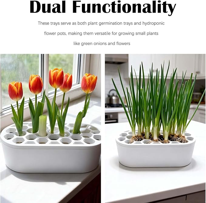 3D Printed Green Onion Planter Trays | Plant Propagation and Seedling Starter Trays for Indoor Gardening | Reusable Nursery Pots for Home, Office, Dorm (Black)