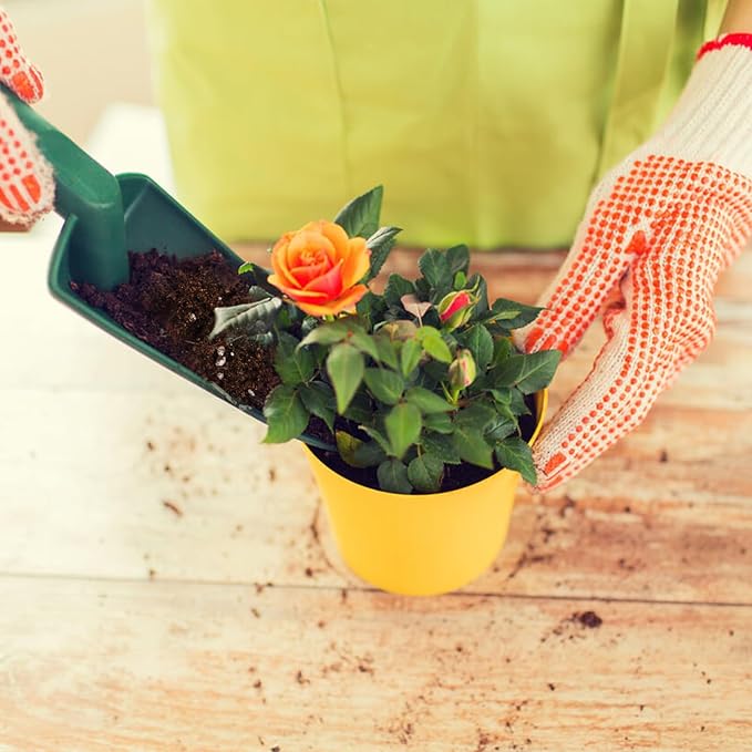Doter Organic Rose Soil Mix, Indoor Plants Potting Mix for All Potted Rose, Grow Healthy houseplants Indoors